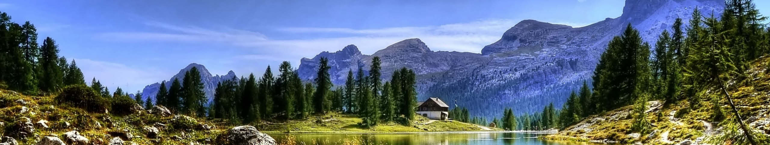 Banner Slovenië